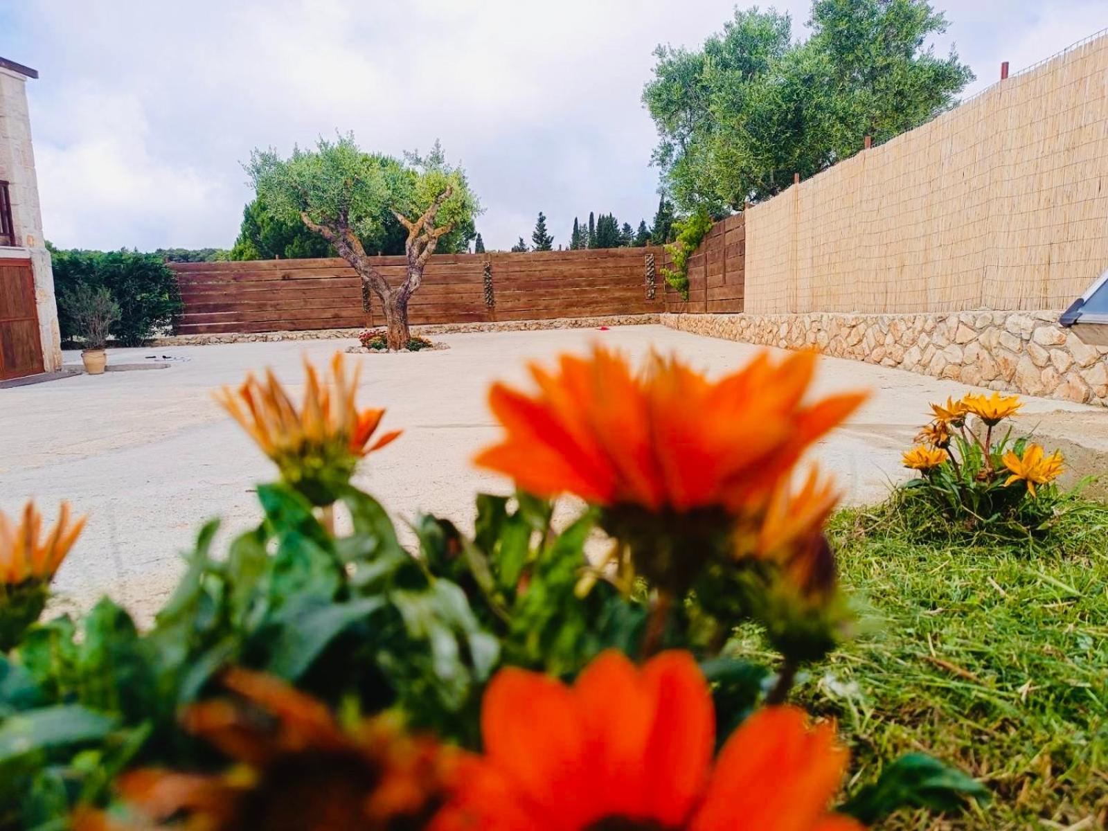 Βίλα La Casa Del Sole
